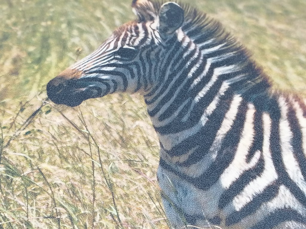 PODKŁADKA NA BIURKO ZEBRA ; wym. 60x40cm; PPB ; 100 ; EAN: 