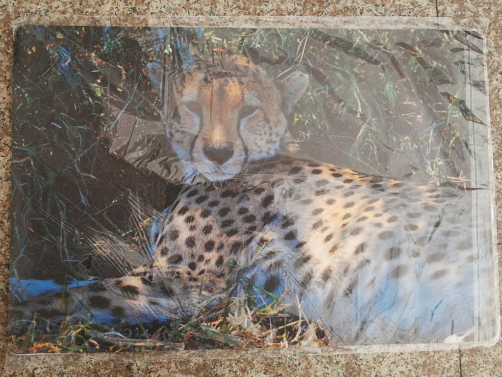 PODKŁADKA NA BIURKO GEPARD ; wym. 60x40cm; PPB ; 100 ; EAN: 