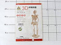 PUZZLE 3D SZKIELET ; wym. Op. 15,5x23x0,5cm ; B/C ; 156/312 ; EAN: