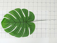 STUCZNE LIŚĆ MONSTERA zest. 12szt  wym.30x37 cm dł.58 cm ; PPB ; 100 ; EAN: 