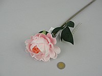 KWIAT SZTUCZNY VIP PEONIA wys.50 cm EVA zapachowe ; PPB ; 12/144/288 ; EAN: 