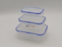 POJEMNIKI LUNCH BOX KOMPLET 3szt. ; PROSTOKĄTNE; PLASTIK; wym. 7x21x15/6x17x12,5/5,5x14x10cm; PPB ; 48 ; EAN: 